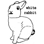 White Rabbit